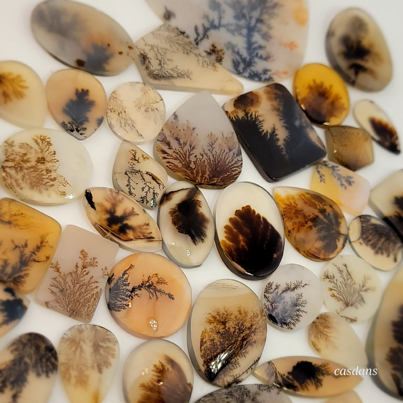 Scenic Dendritic Agate