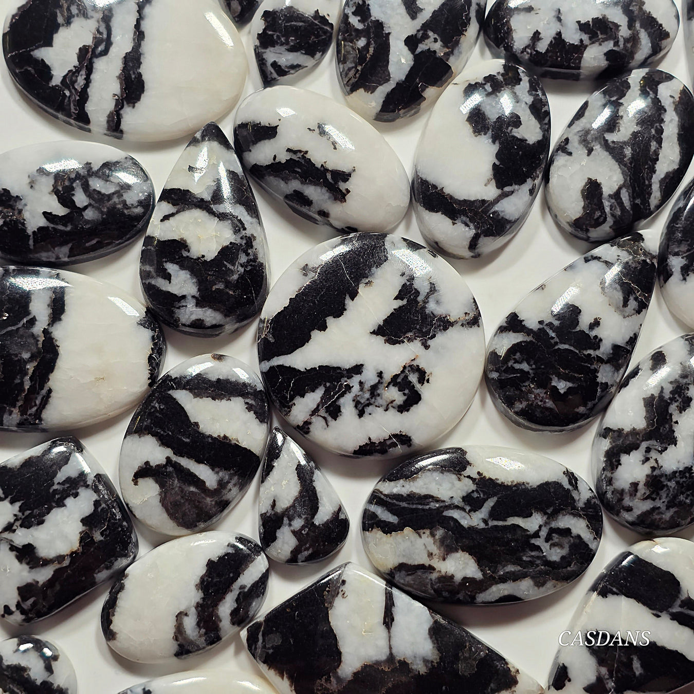 Zebra Jasper