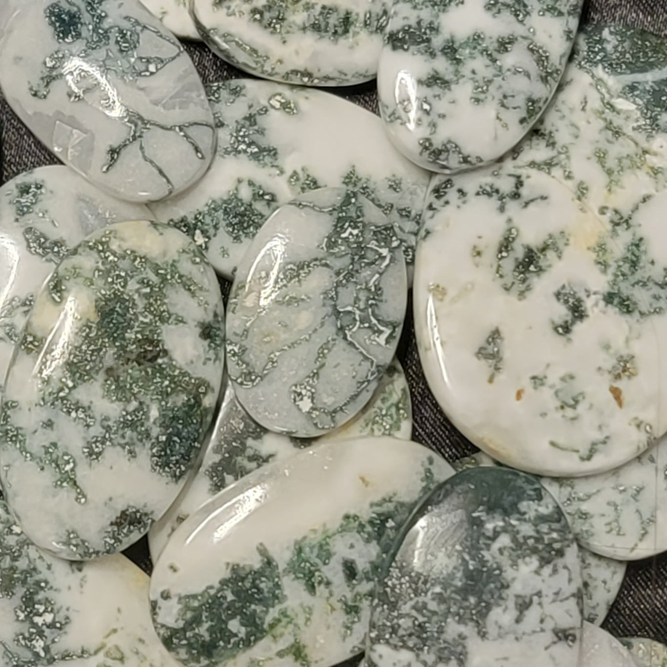 Tree Agate