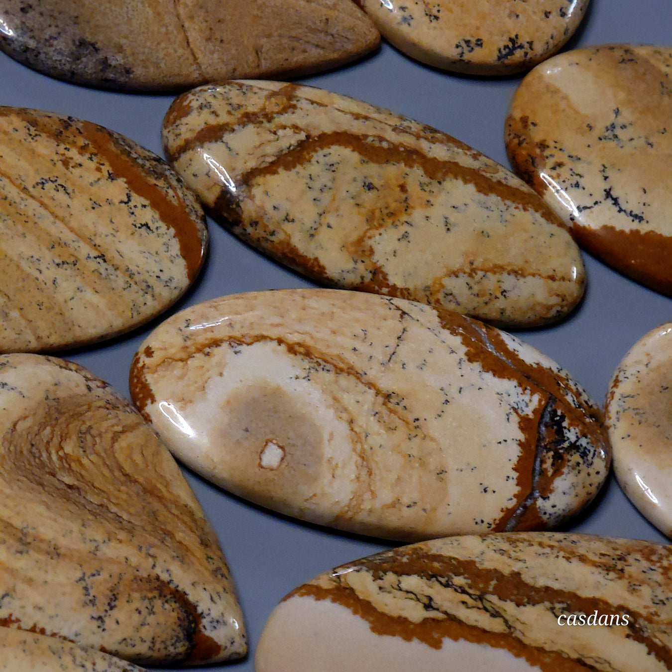 Picture Jasper