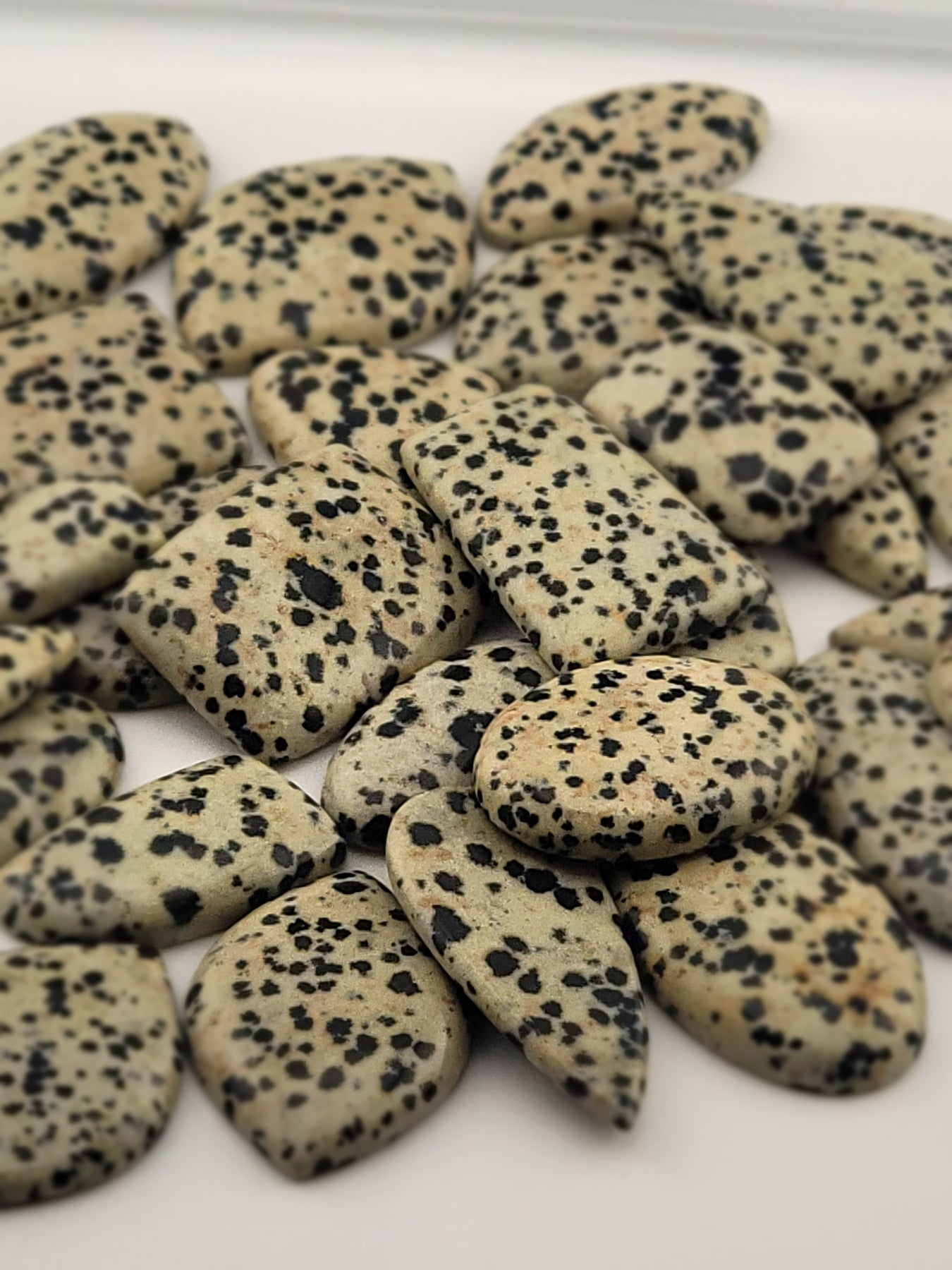 Dalmatian Stone