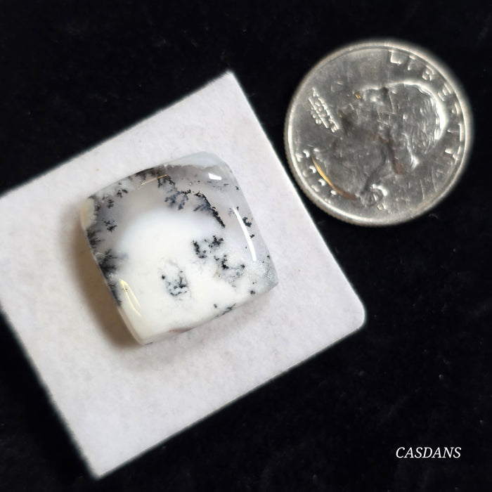 Dendritic Opal / Agate