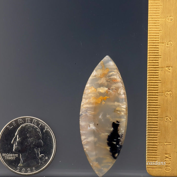 Plume Agate