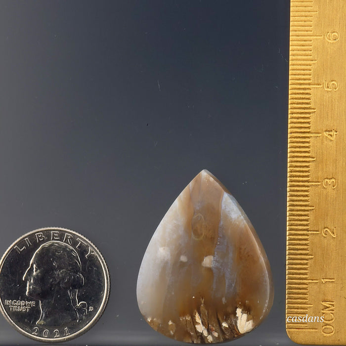 Plume Agate