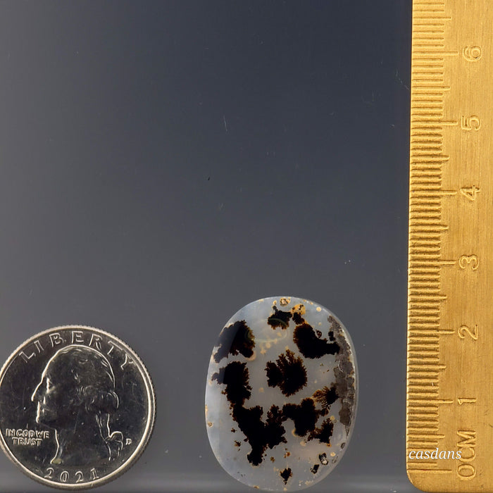 Plume Agate