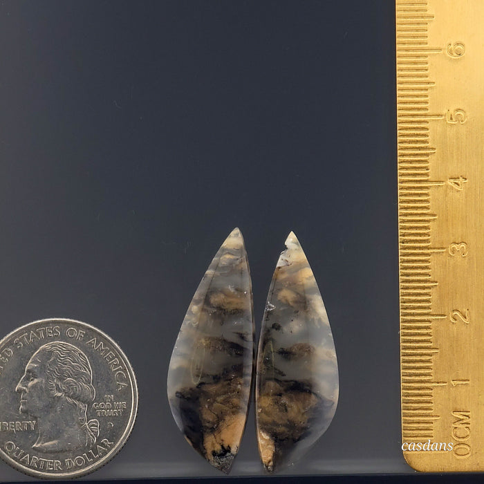 Dendritic Agate