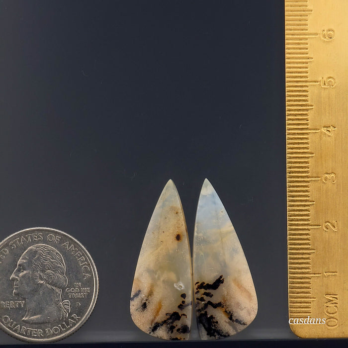 Dendritic Agate