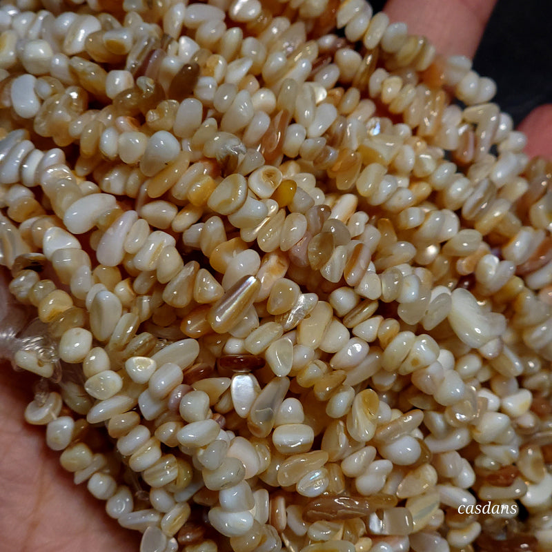 Shell Chip Beads