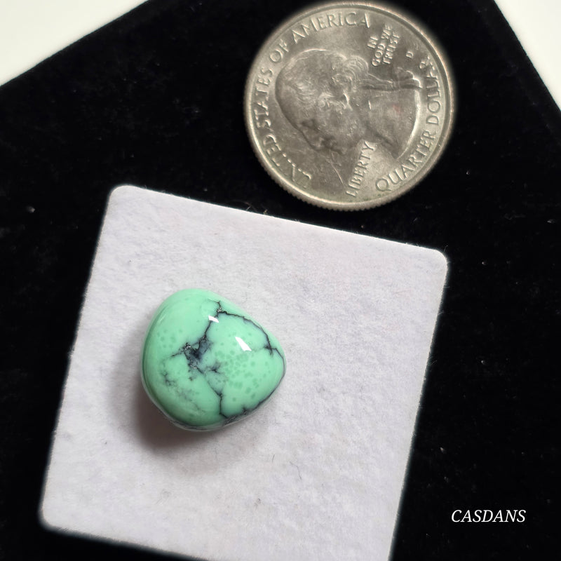 Black Bridge Variscite