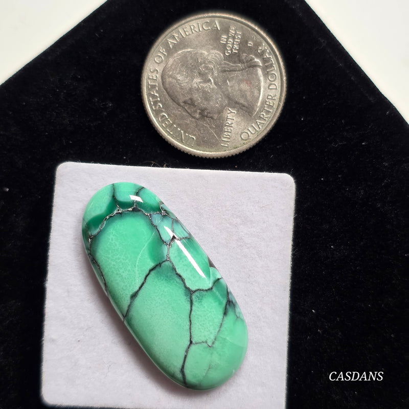 Black Bridge Variscite