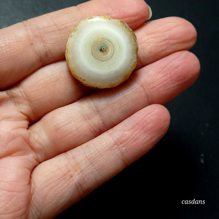 Solar Eye Quartz Slice