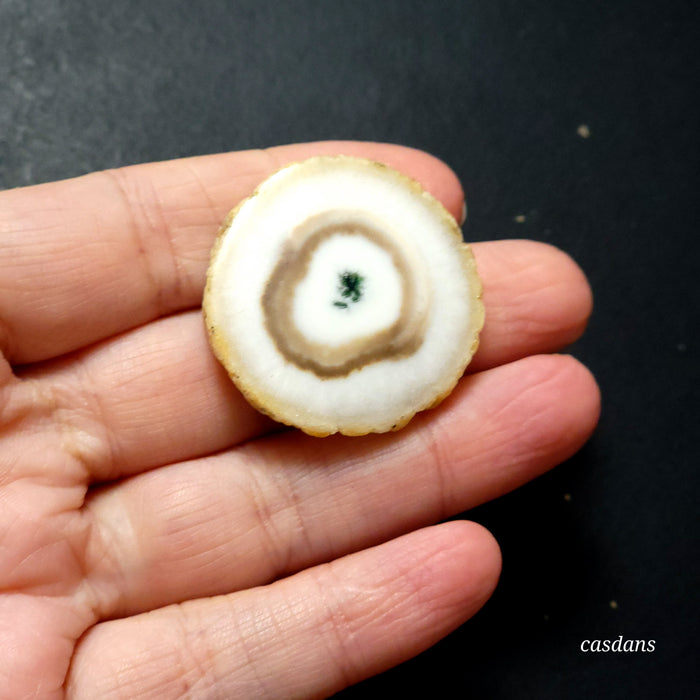 Solar Eye Quartz Slice