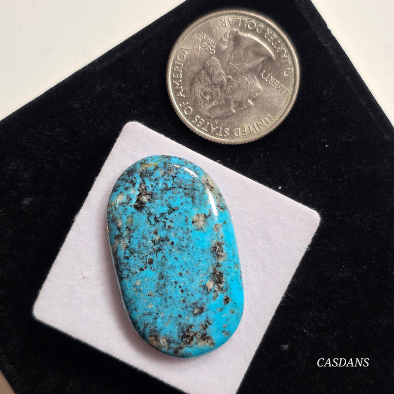 Kingman Black Web Turquoise Stabilized