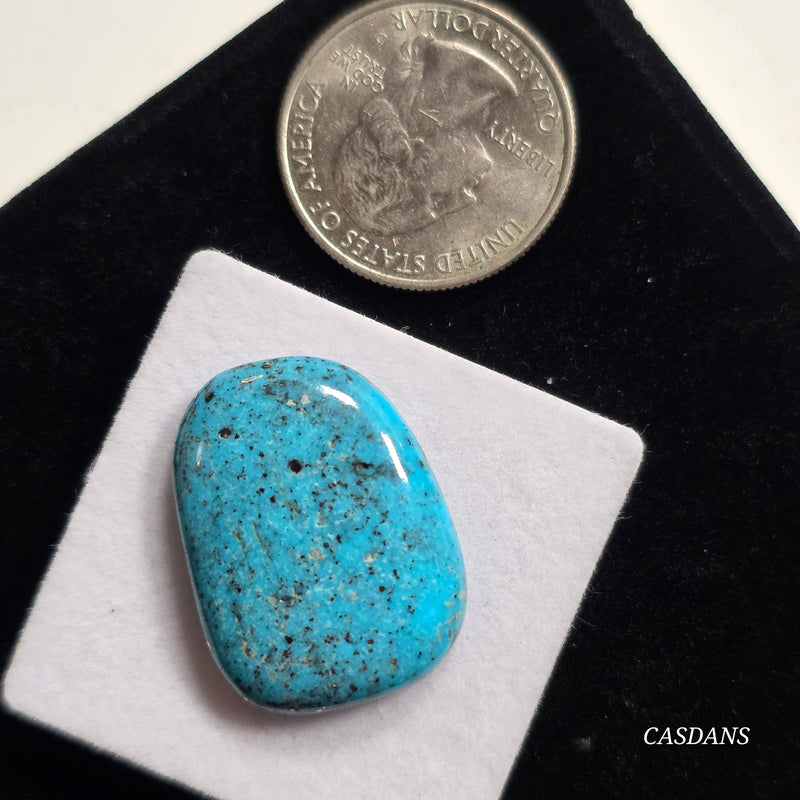 Kingman Black Web Turquoise Stabilized