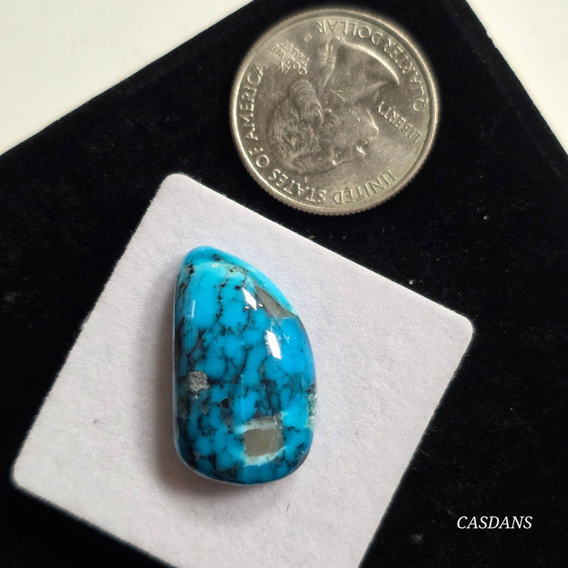 Kingman Black Web Turquoise Stabilized