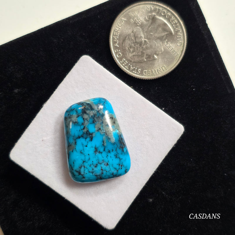 Kingman Black Web Turquoise Stabilized