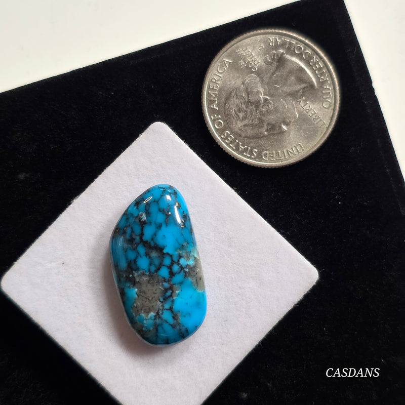 Kingman Black Web Turquoise Stabilized