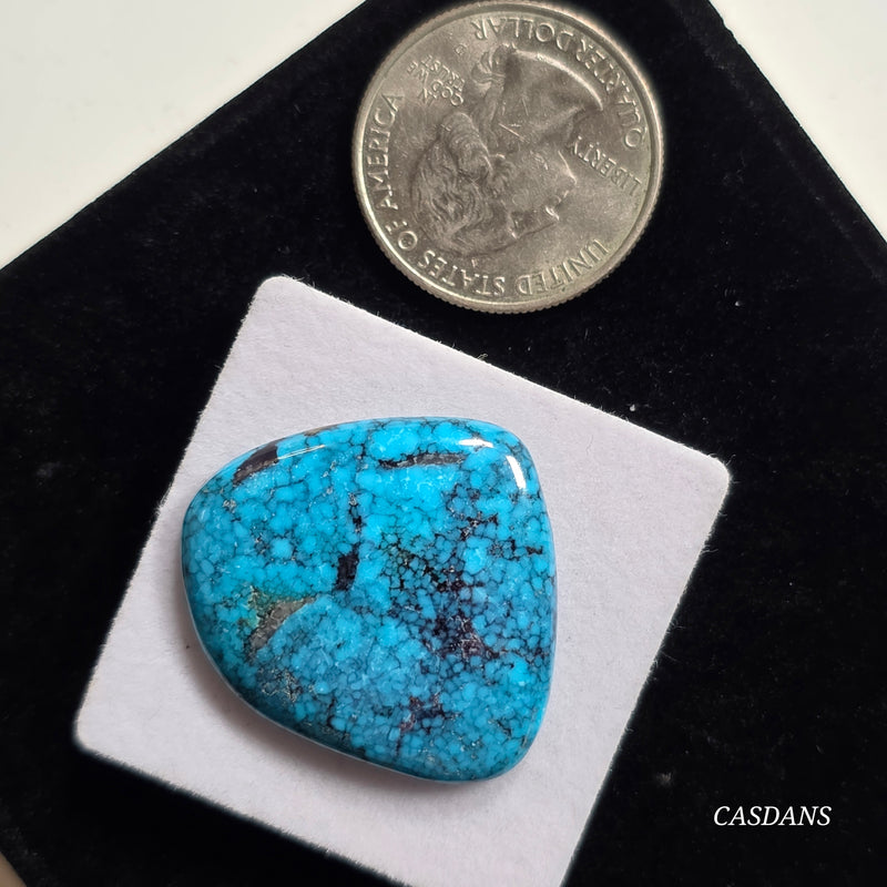 Kingman Black Web Turquoise Stabilized