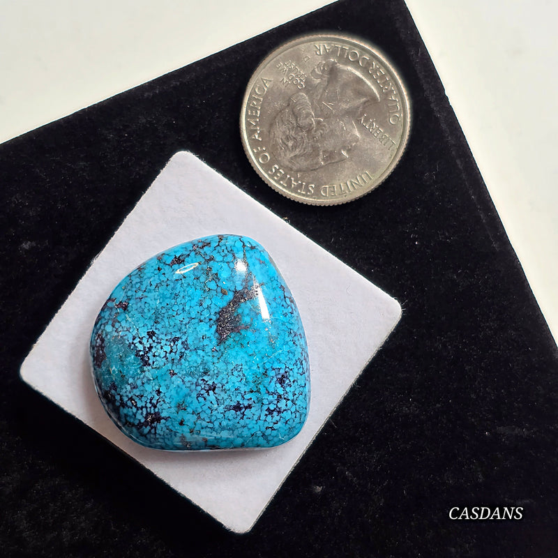 Kingman Black Web Turquoise Stabilized