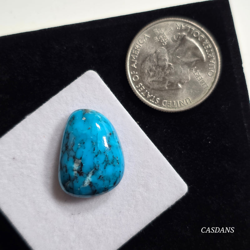 Kingman Black Web Turquoise Stabilized