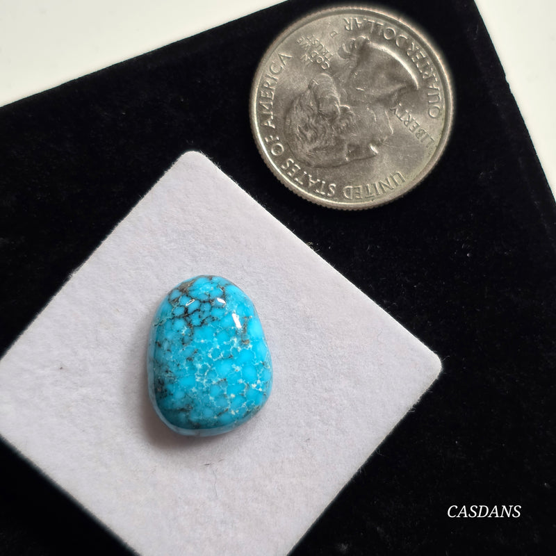 Kingman Black Web Turquoise Stabilized