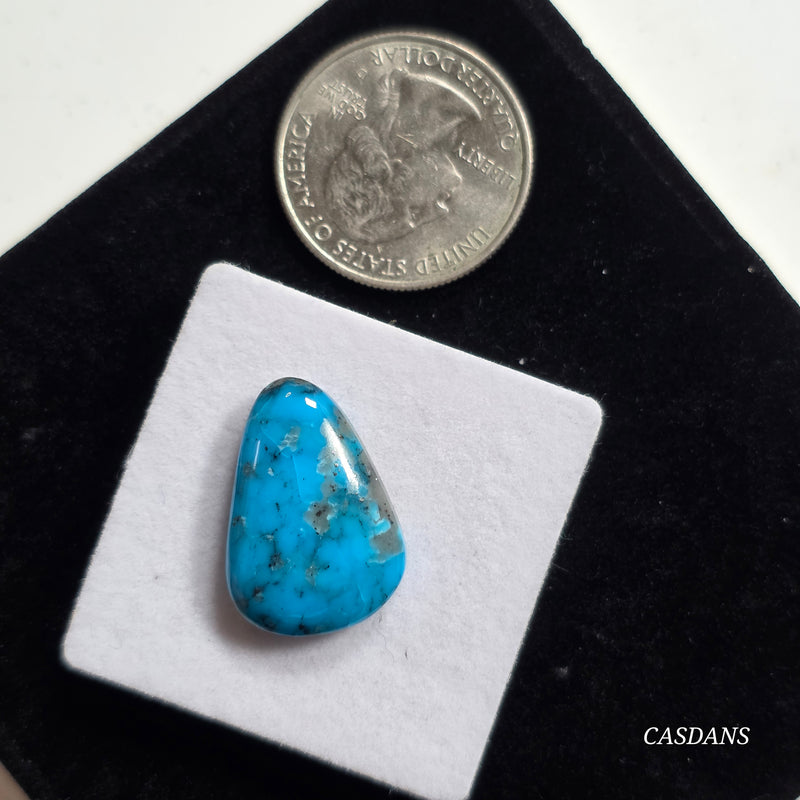 Kingman Black Web Turquoise Stabilized