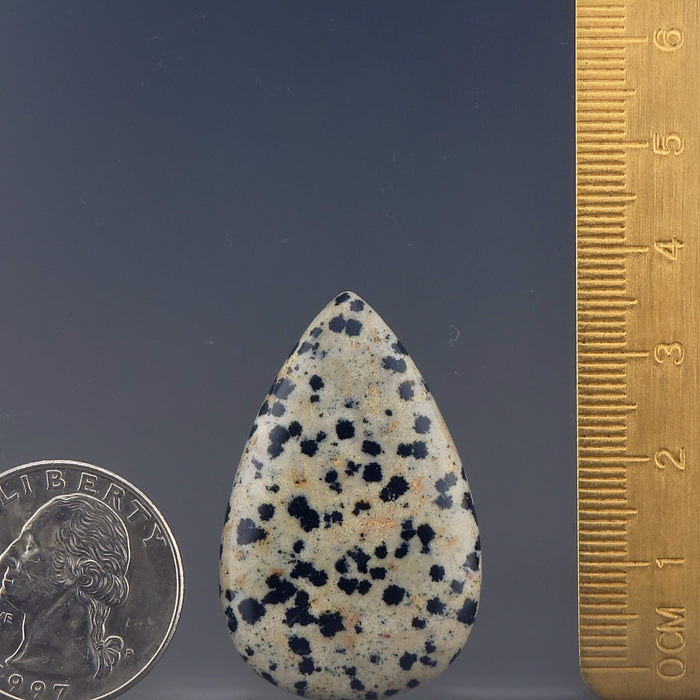 Dalmatian Stone