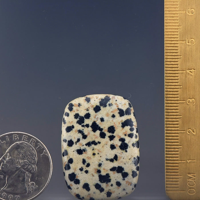 Dalmatian Stone