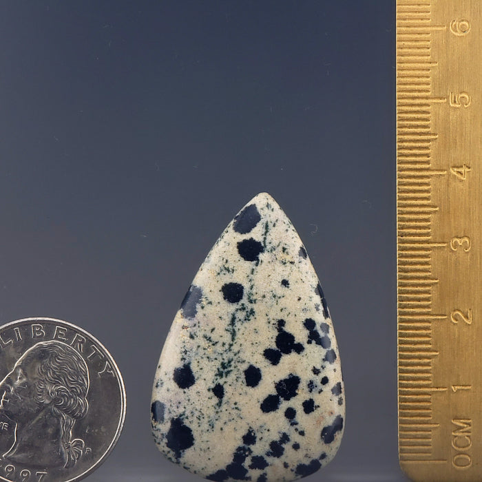 Dalmatian Stone