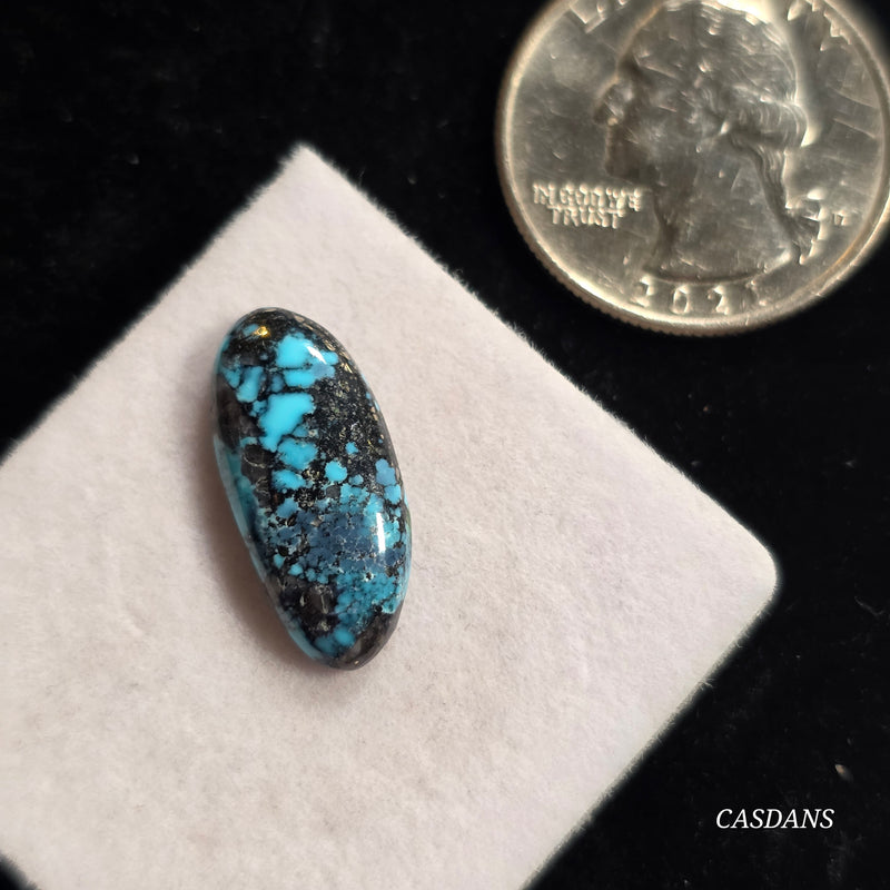 Kingman Black Web Turquoise