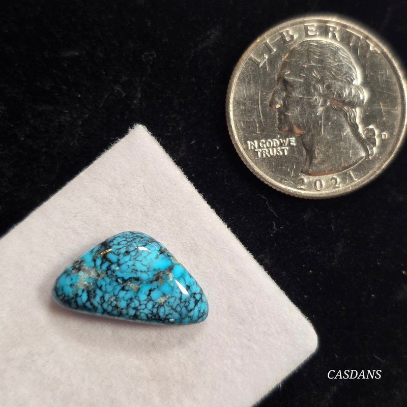 Kingman Black Web Turquoise