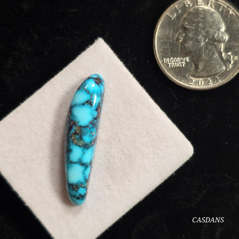 Kingman Black Web Turquoise