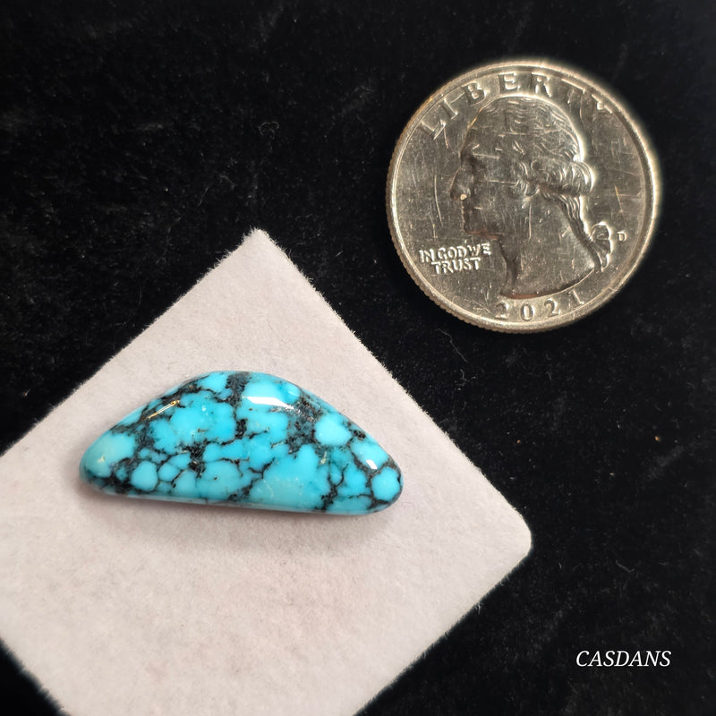 Kingman Black Web Turquoise