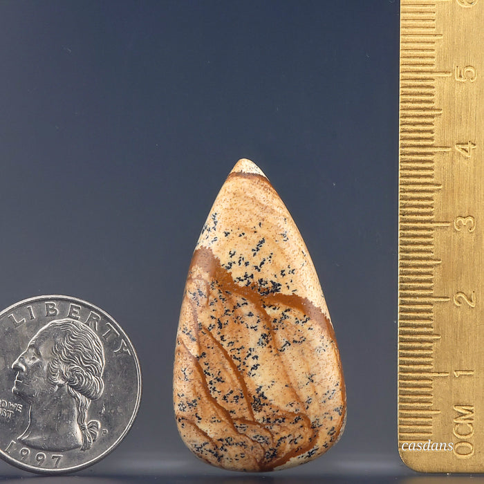 Picture Jasper