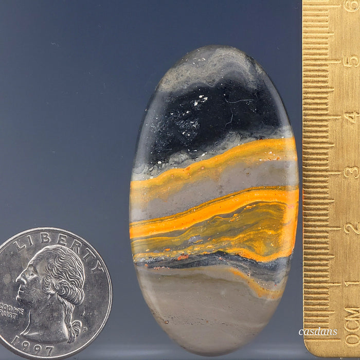 Bumblebee Jasper