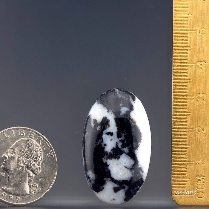 Zebra Jasper