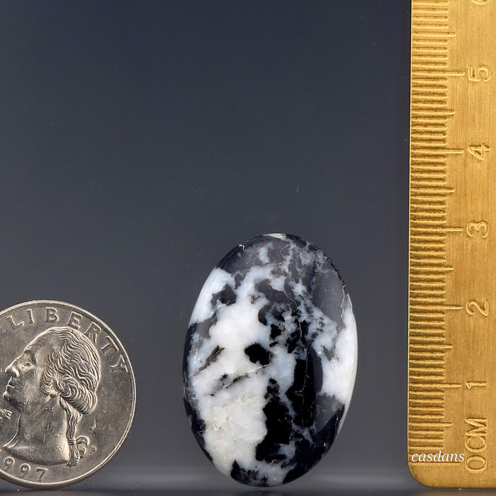 Zebra Jasper