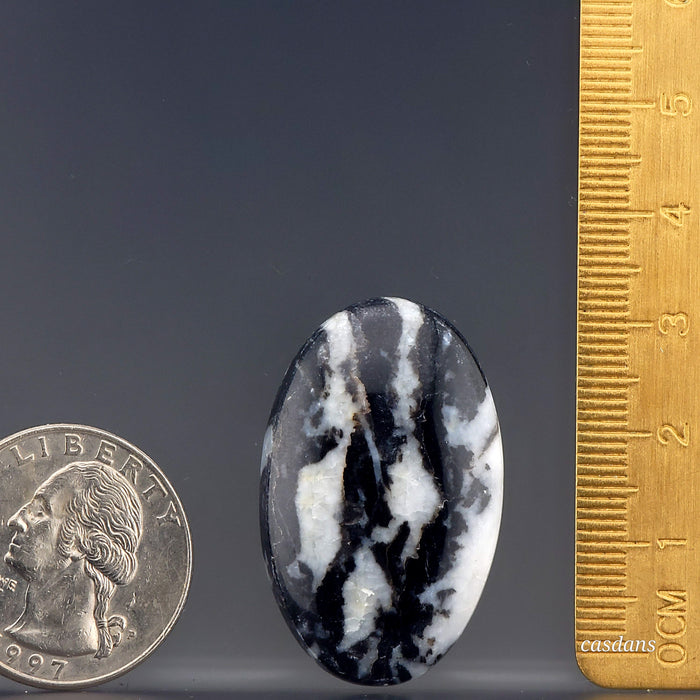 Zebra Jasper