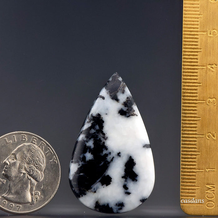 Zebra Jasper