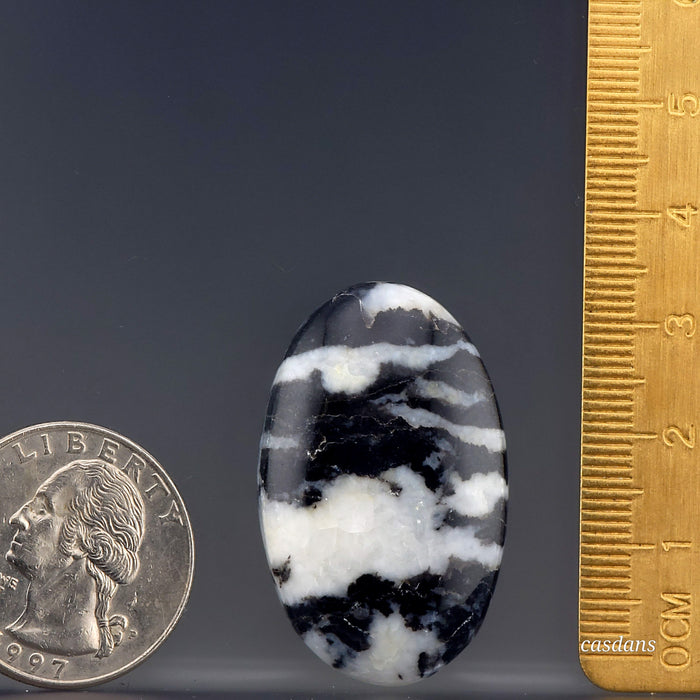 Zebra Jasper