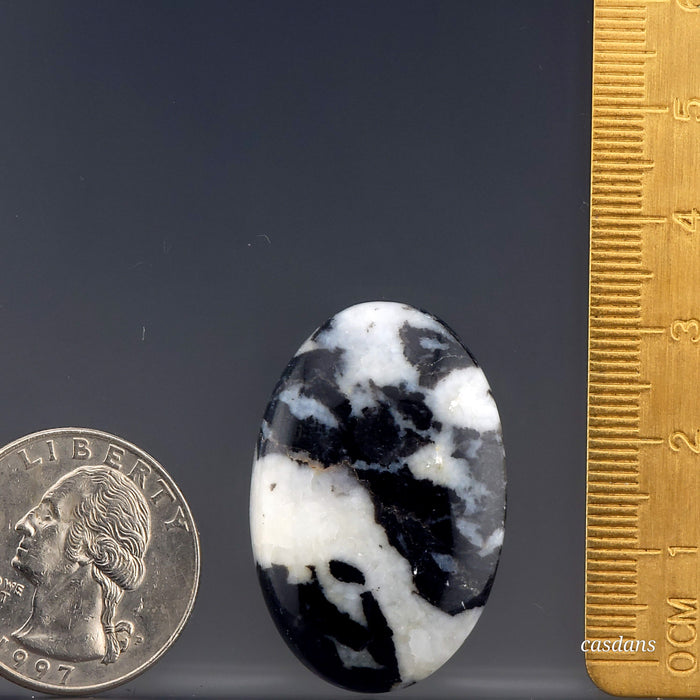 Zebra Jasper