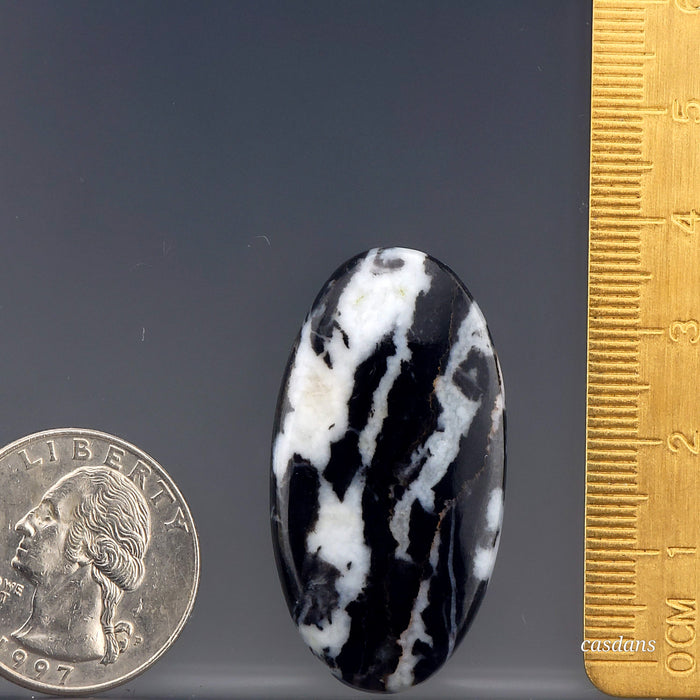 Zebra Jasper