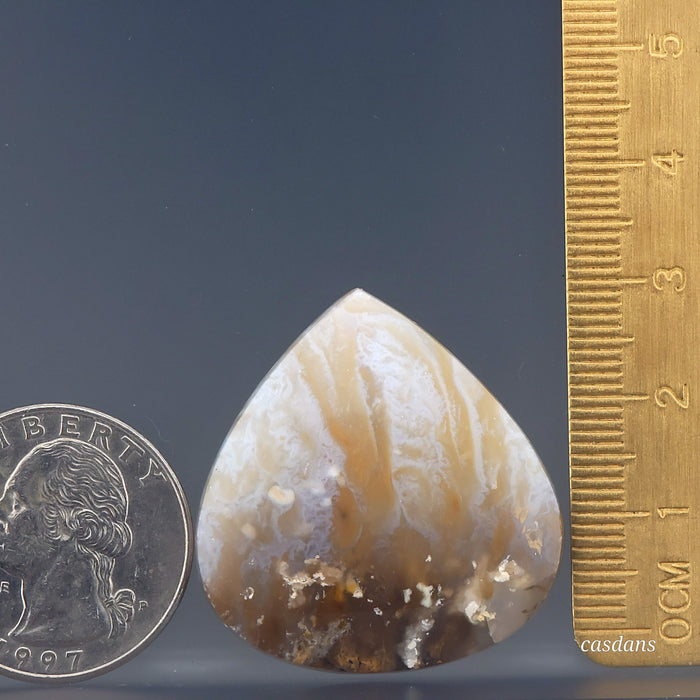 Dendritic Agate