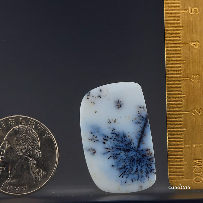 Dendritic Agate