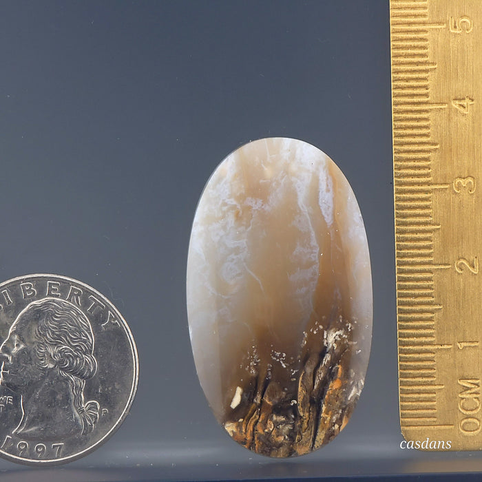 Dendritic Agate