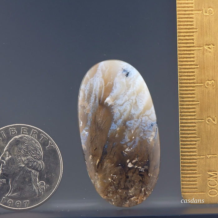 Dendritic Agate