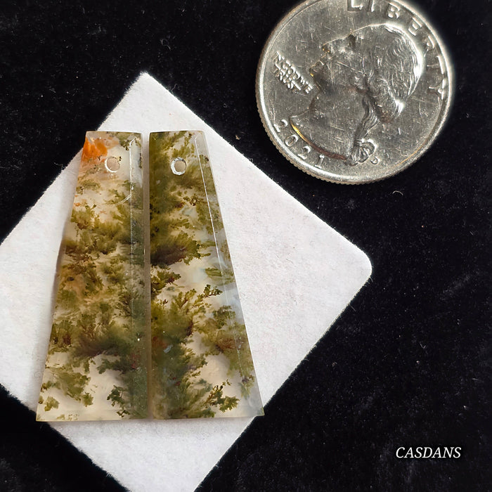 Indonesian Scenic Moss Agate Drilled