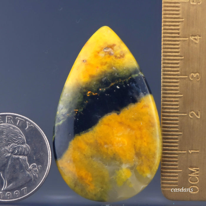 Bumblebee Jasper