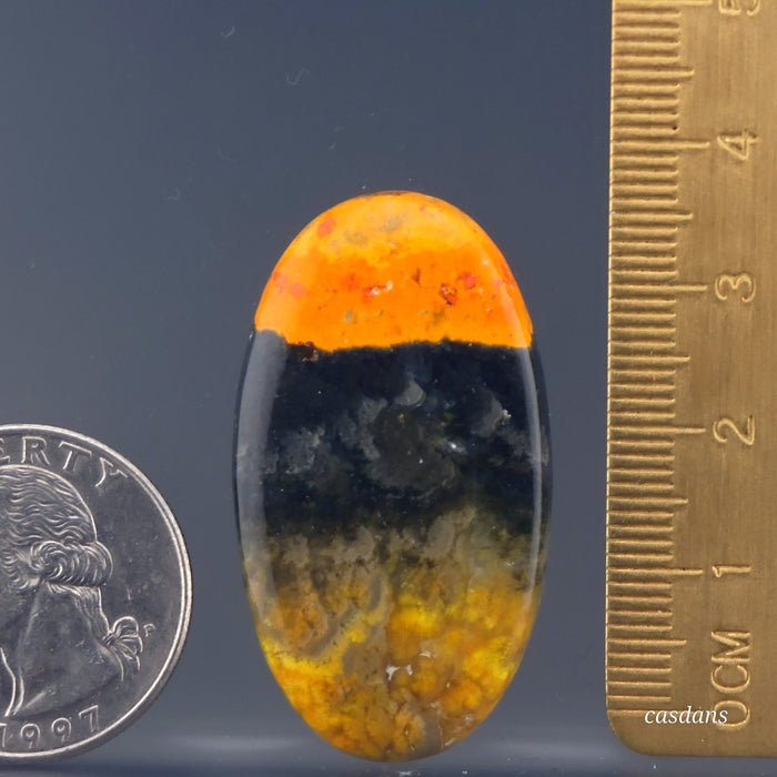 Bumblebee Jasper