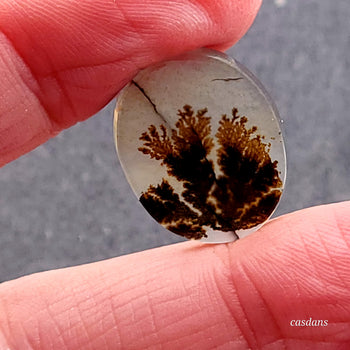 Scenic Dendritic Agate